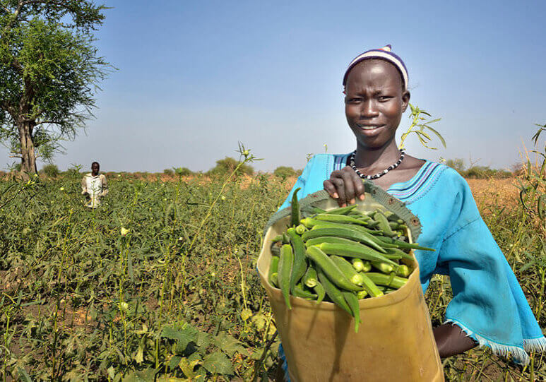 riimenze-field-okra-woman-web