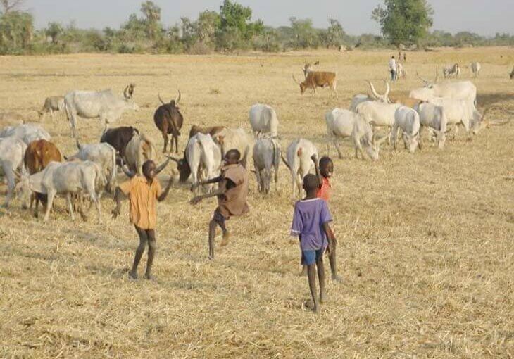 South Sudan boys playing in field